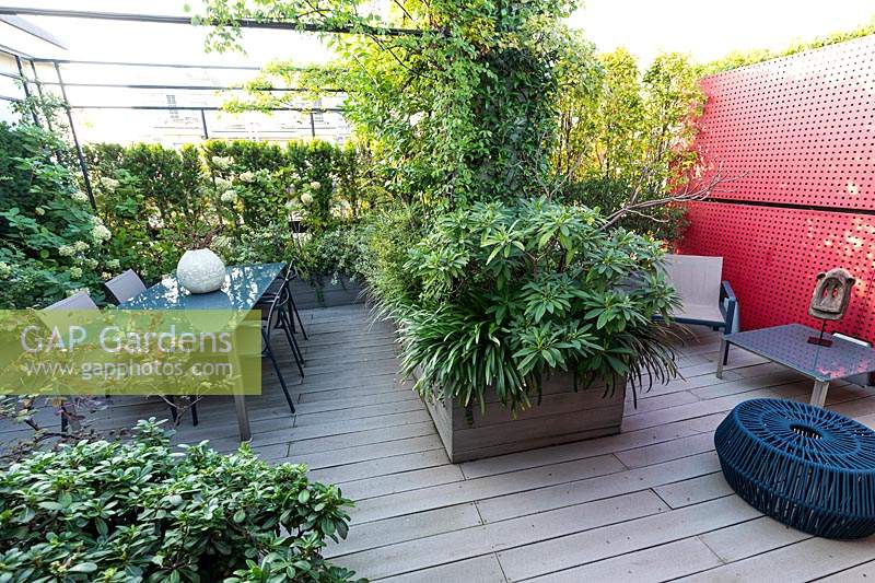 Vue d'ensemble du jardin sur le toit en bois avec salle à manger sous pergola, une cloison rouge et des jardinières avec des arbustes pour le dépistage