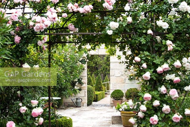 Jardin de roses avec vue sur les rosiers grimpants.