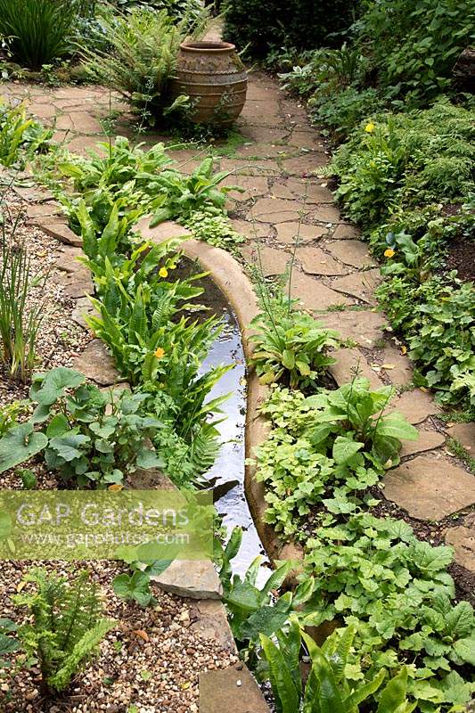 Rill avec plantation informelle de plantes d'ombrage près d'un chemin de pavage fou