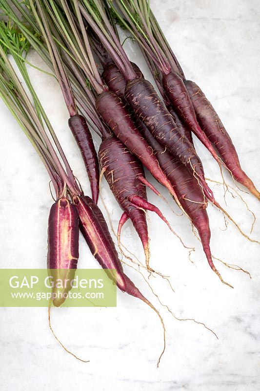 Daucus carota - Carotte 'Purple Sun' - racines lavées une coupe ouverte