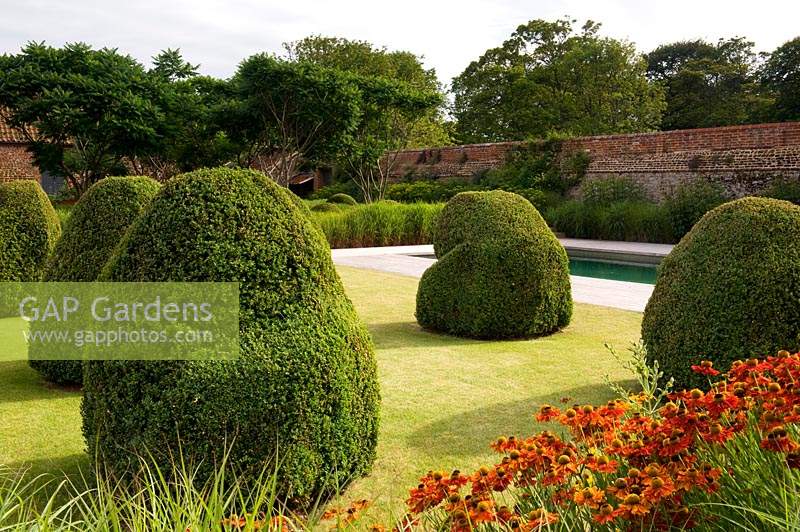 Formes topiaires abstraites sur une pelouse propre dans un jardin clos