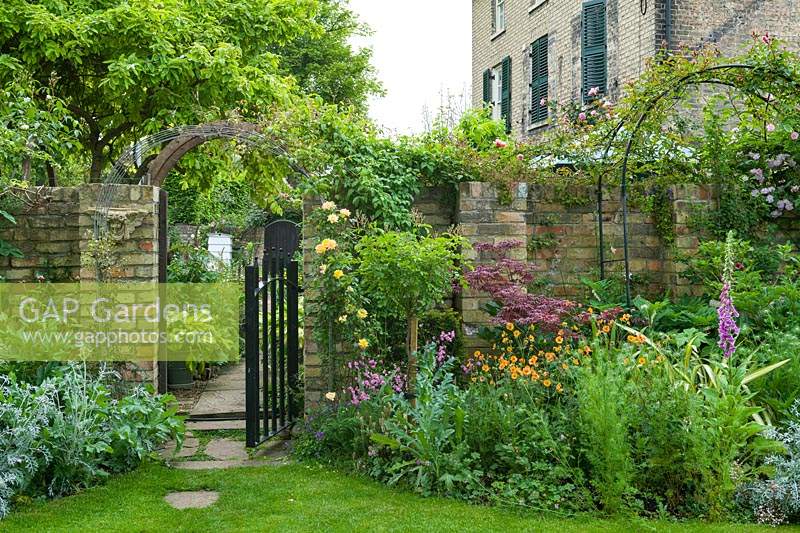 Jardin clos de murs au printemps avec parterre de fleurs herbacées. Portail en fer, Geum 'Totally tangerine', roses, digitale.