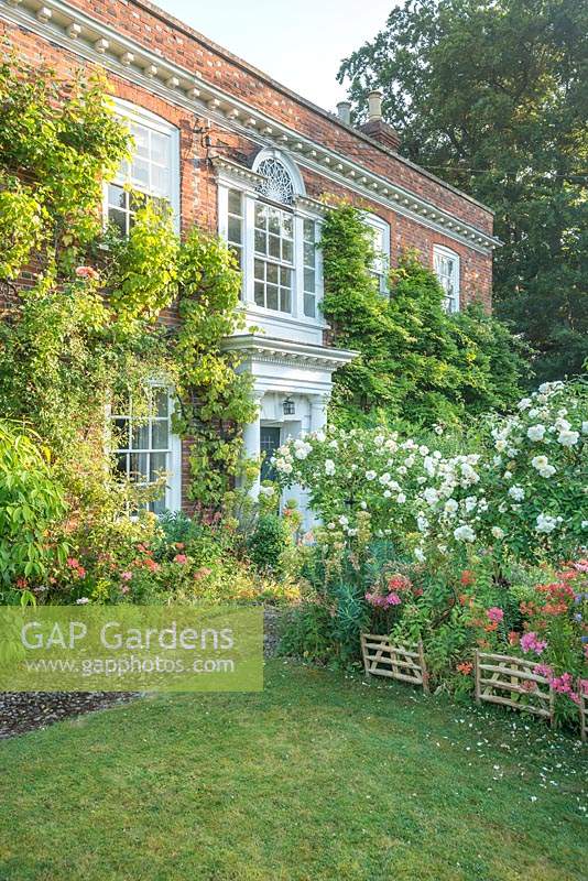 Vue sur le jardin avant, avec pelouse, chemin pavé, Rosa - Rose et Alstroemeria standard avec des supports de plantes en bois miniature, d'époque maison avec des arbustes muraux