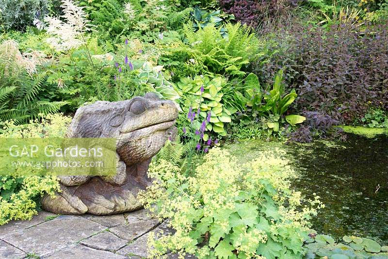 Sculpture de grenouille en bois et Alchemilla mollis par étang naturel