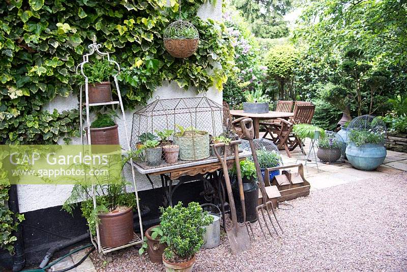 Affichage de pots et d'outils de jardin avec table de couture contre un mur de maison couvert de Hedera - Ivy, au coin d'un patio avec coin salon et plantation de pots