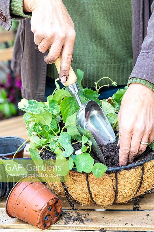 Femme, compléter, compost, pendre, panier, métal, écope