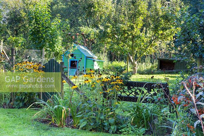 Jardin de campagne informel avec Rudbeckia fulgida var. sullivantii 'Goldsturm', portail en bois, poulailler et banc avec des arbres au-delà
