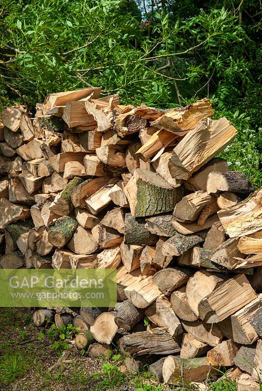Pile de bûches fendues pour le bois de chauffage - Open Gardens Day, Topcroft, Norfolk