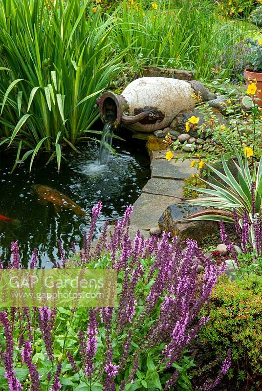 Petite piscine de jardin utilisant une ancienne urne comme élément d'eau avec plantation au bord de la piscine de Salvia nemorosa, Hypericum et Iris - Open Gardens Day, Haughley, Suffolk