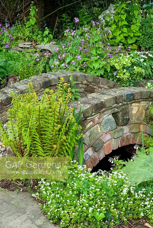 Passerelle sur ruisseau avec Fern, Galium odoratum - Woodruff et Lunaria - Honnêteté - Alchemy Gardens, RHS Malvern Spring Festival.