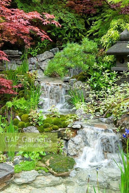 Cascade dans le jardin japonais avec acers, pins, fougères et mousses. Exposition florale RHS Chelsea.