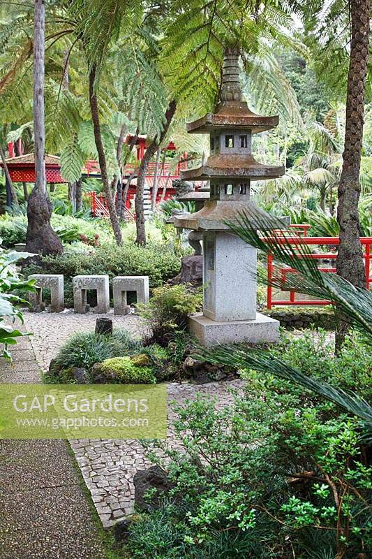 Jardin d'inspiration orientale inférieur dans un jardin tropical avec palmiers