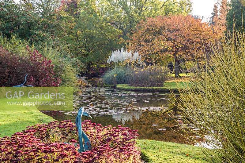 Sculptures de héron de Cotinus coggyria 'Royal Purple' - Sculptures de Smokebush et de cygne dans le parterre de fleurs d'Hylotelephium 'Herbstfreude' - Sedum 'Autumn Joy' - à côté du lac