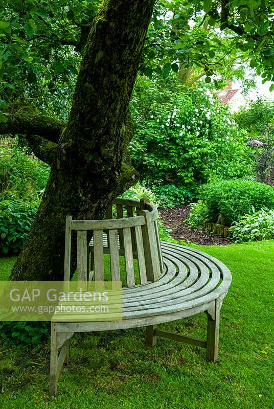 Sièges en bois courbé à la base du vieux pommier - Journée des jardins ouverts, Coddenham, Suffolk