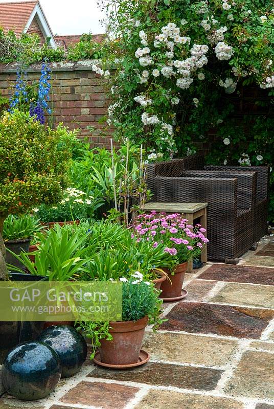 Chaises en rotin, tabouret, plantes en pots et boules en céramique sur patio avec parterre mixte et rose Rambling 'Adelaide d ' Orleans' - Journée des jardins ouverts, Coddenham, Suffolk