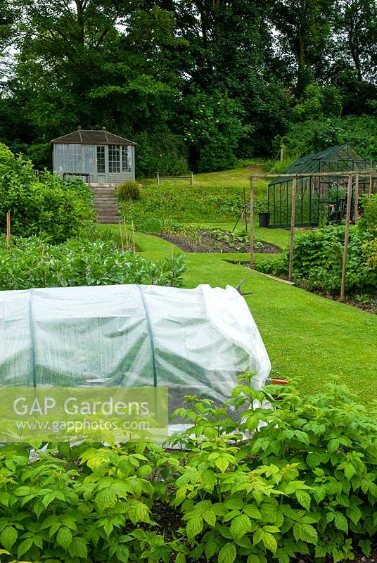 Légumes et fruits frais frontières avec petit polytunnel, cage à fruits, serre et marches menant à l'été surélevé - Journée des jardins ouverts, Coddenham, Suffolk