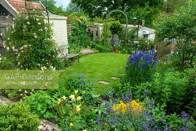 Petit jardin de cottage avec pelouse et parterre de fleurs colorées de plantation de plantes vivaces et Rose 'Open Arms' sur l'arche métallique - Journée des jardins ouverts, Coddenham, Suffolk