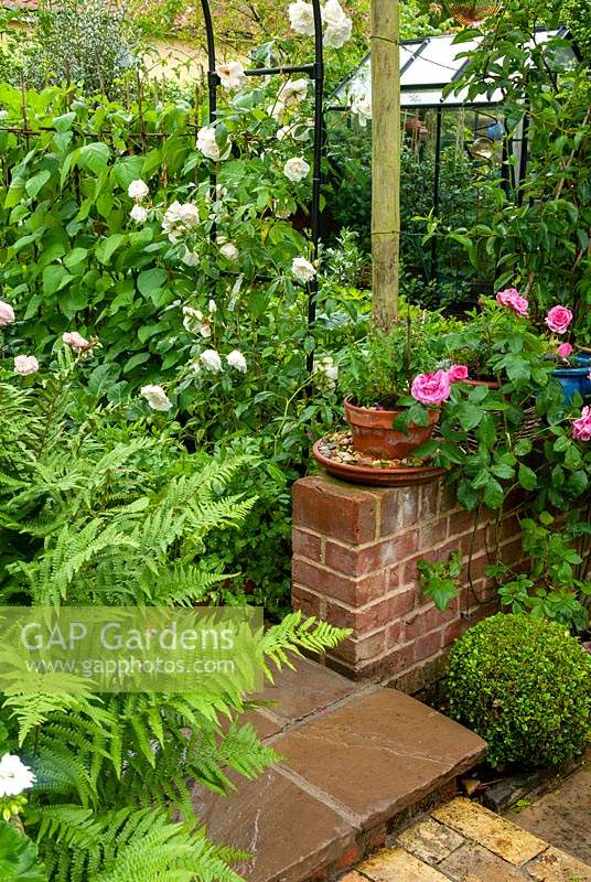 Entrée de jardin potager à travers l'arche métallique soutenant les roses grimpantes, avec fougère, fort et rosier de chaque côté du chemin - Journée des jardins ouverts, Double Street, Framlingham, Suffolk