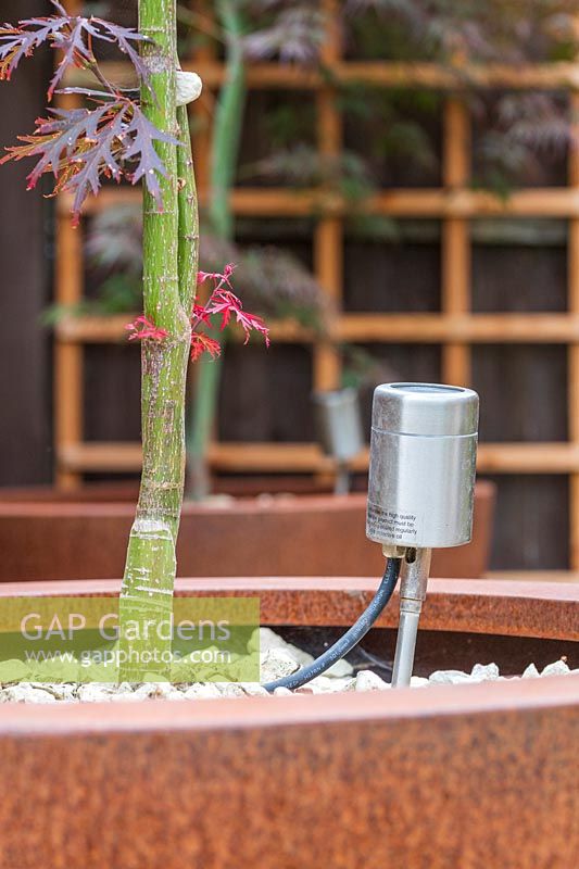 Petit lampadaire en acier inoxydable sous Acer palmatum - Érable japonais