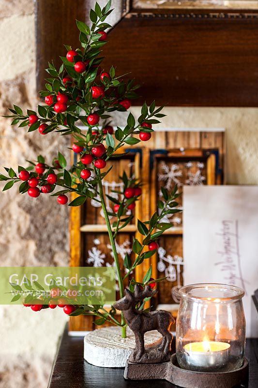 Cheminée de fête avec arbre de Ruscus aesculatus, bougie et cartes de Noël - décembre