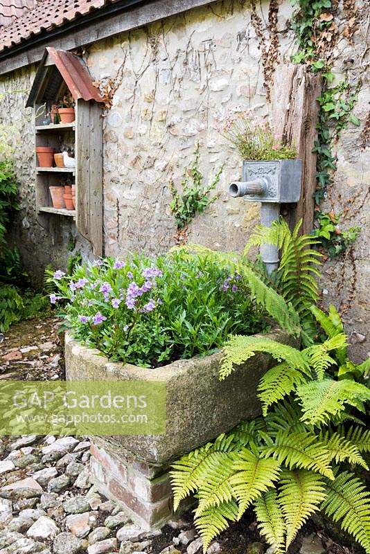 Cour de ferme pavée avec un abreuvoir planté, fougères auto-ensemencées et affichage de pots en terre cuite sur des étagères en bois