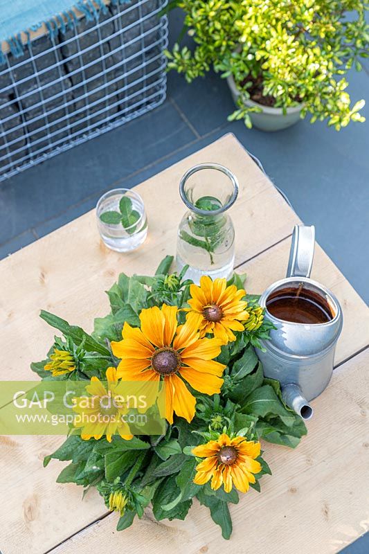 Table en gabion et échafaudage avec jardinière intégrée, planté de Rudbeckia 'Summerina Butterscotch Biscuit '. Table habillée de verre, carafe et arrosoir.