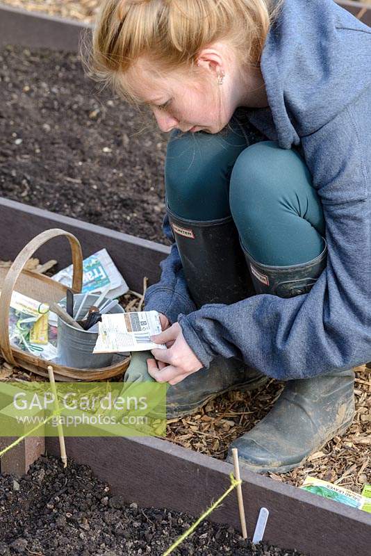 Jeune fille vérifiant les instructions du paquet avant de planter des graines de laitue et d'épinards dans un parterre de fleurs surélevé en plastique recyclé