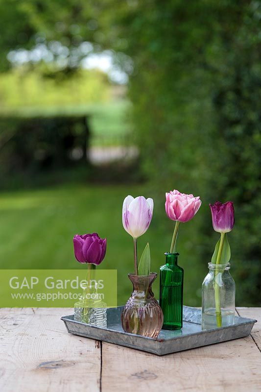 Présentoir floral de printemps avec tulipes simples dans des vases en verre sur plateau carré galvanisé