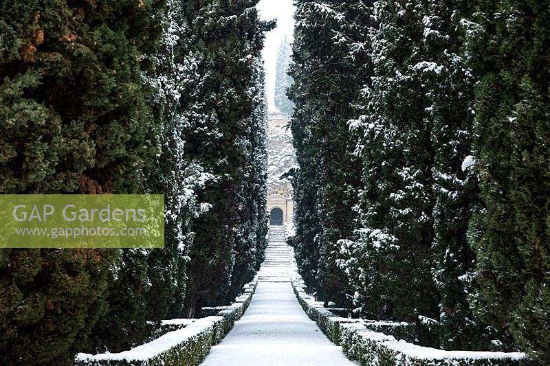 Vue le long du chemin entre Cupressus - Cypress - avenue d'arbres à marches jusqu'à Orrido sous la falaise