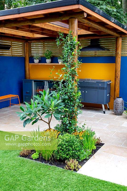 Patio et salle extérieure avec barbecue couvert, parterre central autour du support de pergola comprend la plantation de Trachelospermum jasminoides, Edgeworthia chrysantha 'Grandiflora'