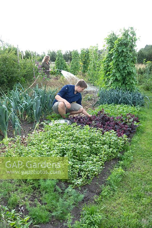 Chef cuisinier Charlie cueillant des légumes dans un immense jardin de Kiemkracht 64.