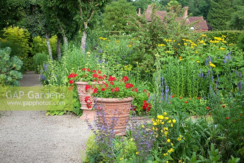 Vue sur jardin montrant chemin, parterres de fleurs bleues et jaunes avec paire de pots en terre cuite ornés de fleurs rouges contrastantes