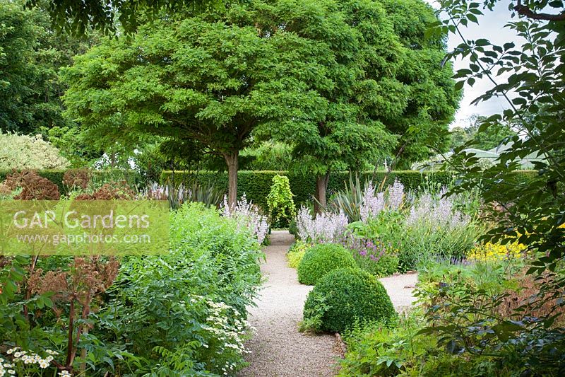 Chemin formel à travers Herb Garden avec dômes coupés, Salvia sclarea, Tanacetum parthenium et Angelica. Parc Loseley, Surrey