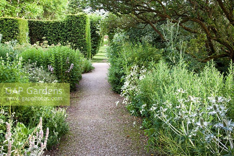 Chemin à travers le jardin blanc dans le jardin d'été, Loseley Park, Surrey, UK.