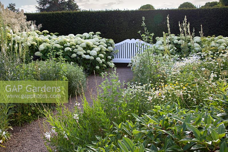 Siège en bois dans le jardin blanc en jardin d'été, Loseley Park, Surrey, UK.