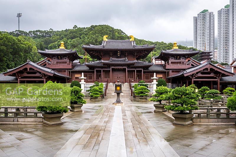 Vue sur le couvent de Chi Lin depuis la cour de l'étang aux lotus, avec Podocarpus macrophyllus coupé - pin bouddhiste. Au premier plan, un panneau d'avertissement après les fortes pluies et en arrière-plan des immeubles de grande hauteur