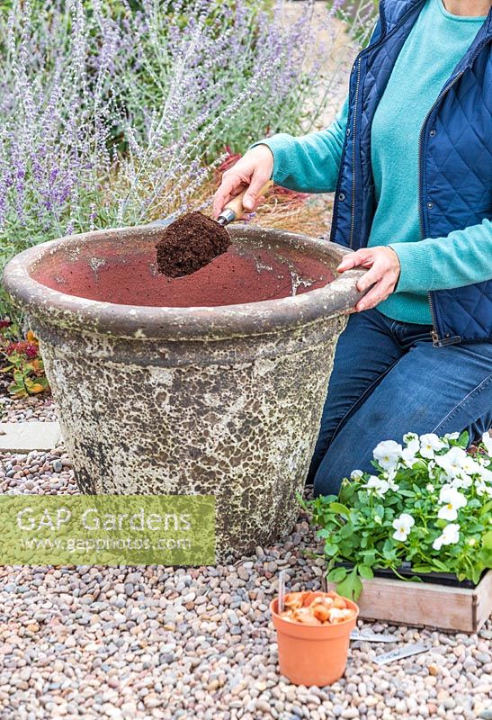 Femme ajoutant une couche de compost pour couvrir les bulbes