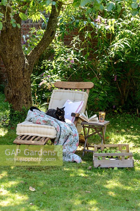 Transat en bois avec coussins, couverture et chat à l'ombre sous un arbre