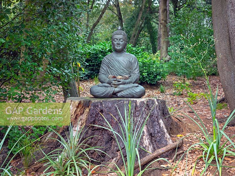 Statue de Bouddha Jardins subtropicaux d'Abbotsbury, Abbotsbury