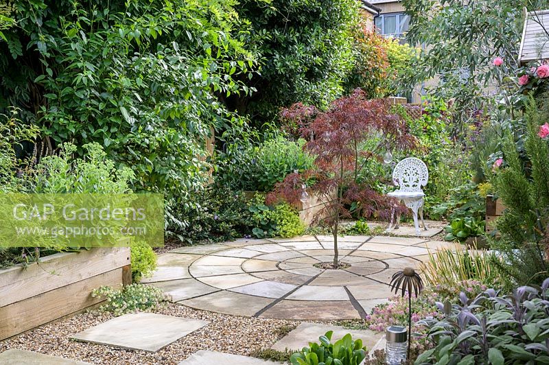 Pavage circulaire avec Acer centralement planté dans East London Town Garden, par Earth Designs.