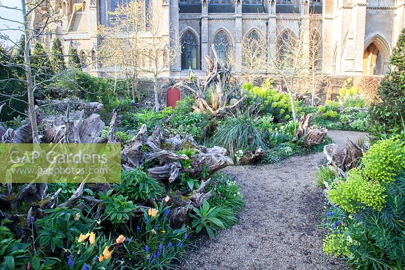 Le jardin de Stumpery au printemps, avec des bûches et des hellébores sculpturales décoratives, Euphorbia, Primula, Muscari et tulipes. Château d'Arundel, West Sussex, Royaume-Uni.
