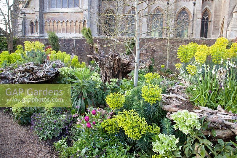 La plantation de printemps colorés dans le Stumpery Garden, le château d'Arundel, West Sussex, UK.