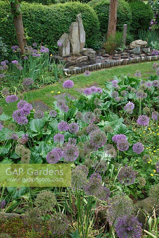 Alliums en face de l'obélisque de pierre au jardin de méditation japonais Pure Land