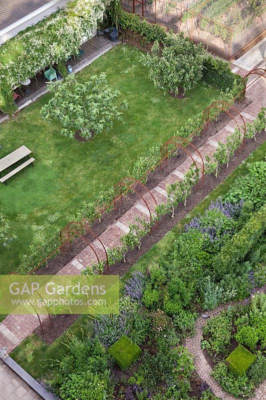 Vue aérienne du jardin avec des bordures de légumes à fleurs et des arbres fruitiers formés sur arcade reliée par des chemins de brique et de pierre - Hollande, juin