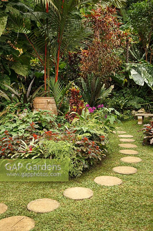 Chemin de pavés circulaires dans un jardin tropical