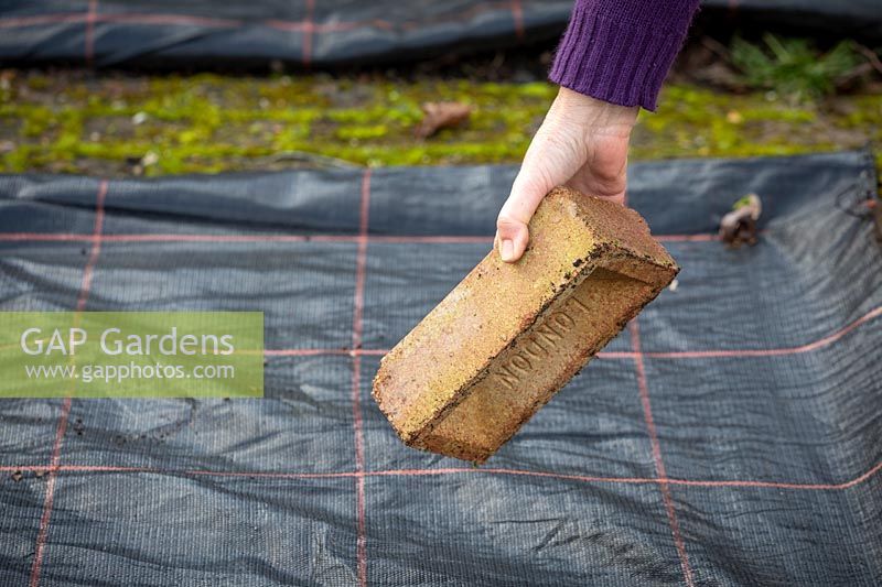 Couvrir une bordure végétale avec du plastique afin de supprimer les mauvaises herbes et réchauffer le sol. Peser la membrane avec une brique.