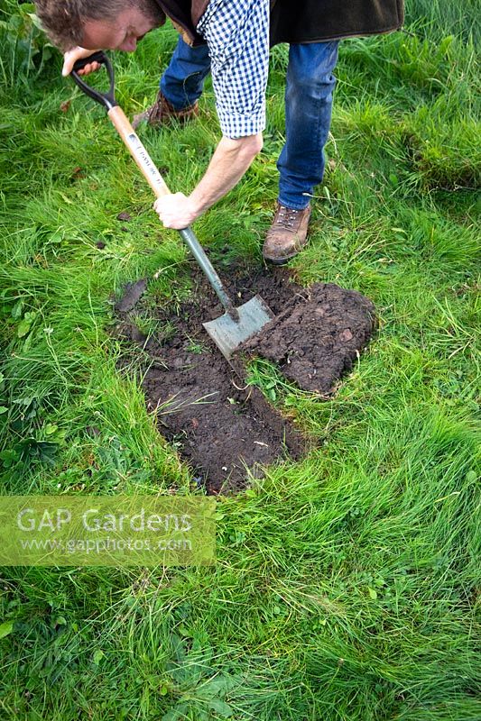 Vérification du profil du sol en creusant un trou d'inspection. Étape 1 Retirez le gazon