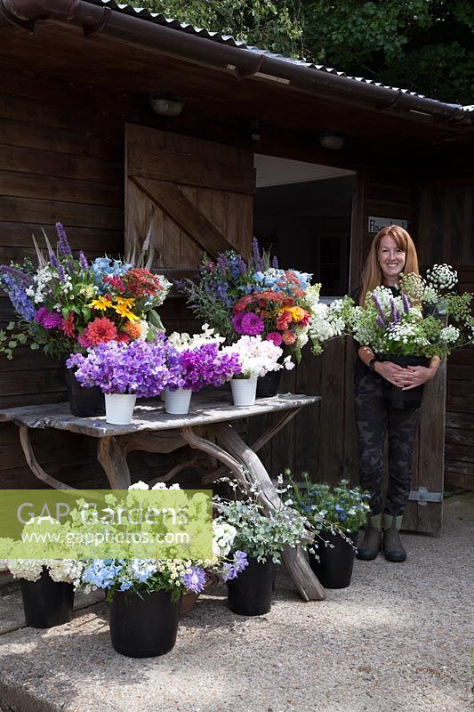L'atelier de Zelie avec des seaux de fleurs prêts pour les arrangements floraux de mariage, y compris les pois de senteur, les dahlias, l'agastache, l'hortensia et l'achillée.