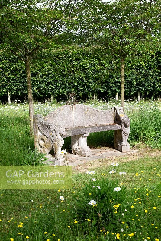 Banc en pierre antique et tilleul pleached derrière dans un jardin de pays avec pré de fleurs sauvages.