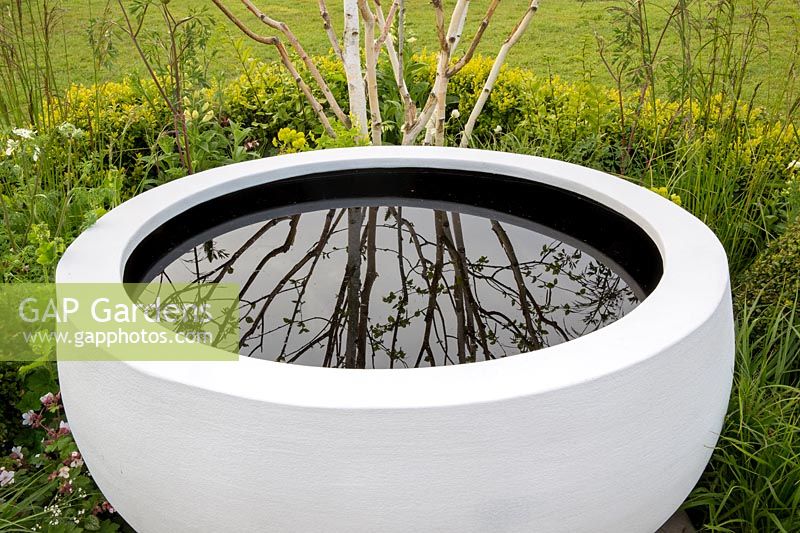 Bol à eau reflet contemporain avec un bouleau argenté reflété dans l'eau. Le temps est un jardin guérisseur, RHS Malvern Spring Festival, 2016. Designer Martyn Wilson Associates